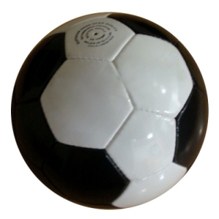 Training Ball