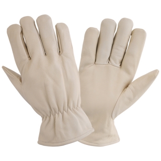 Winter Gloves